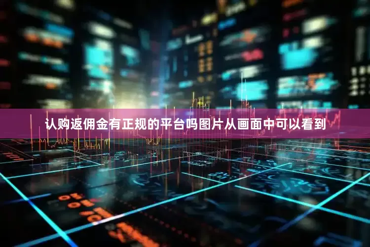 认购返佣金有正规的平台吗图片从画面中可以看到